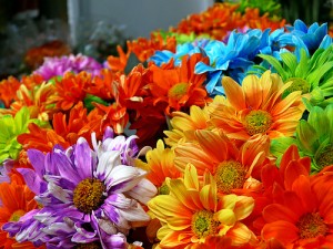fiori